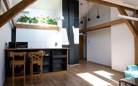 Loft W Centrum Gliwic